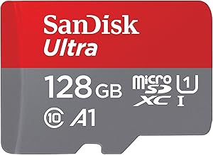 128 GB Mini SD Card
